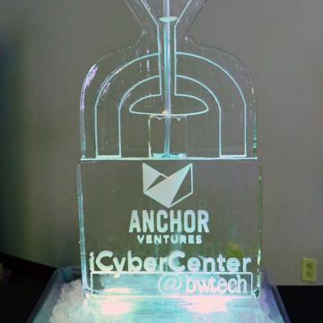 Cybersecurity Issues in Healthcare