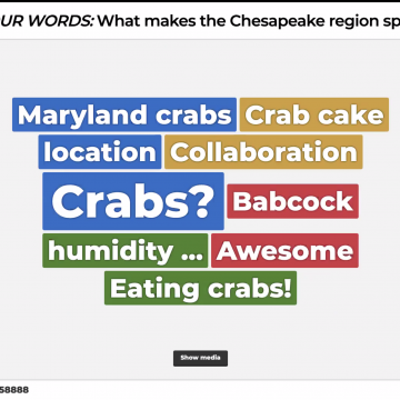 Trivia with Technical.ly